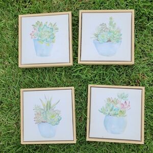Succulent Art Print Set with Gold Frames